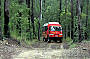 4WD through Mountain Eucalypt and Rainforests