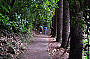 Walking Track Natural Arch