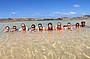 Fraser Island 2 Day ECO Tour (from Gold Coast or Brisbane)